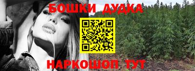 МДПВ Дубна
