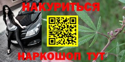 винт Донецк