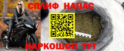 МДПВ Дубна