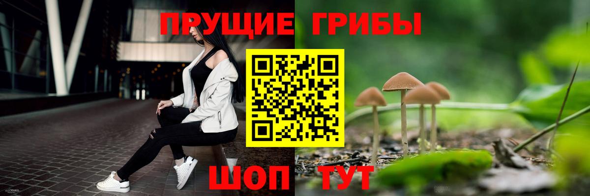 Псилоцибиновые грибы Cubensis  Галлюциногенные грибы Psilocybe  Вход с VPN  Мурманск 